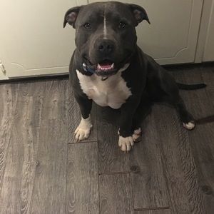 Meet your Posher, Jay